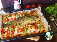 ����, ���������� � ����� � ������� �����������