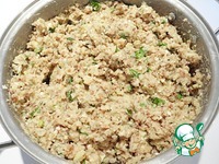 ��������� �����������-��������� �����������