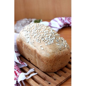 ���� �� �����