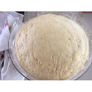 ��������� ����� "�����������"