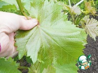 ����� ��� ������ �� ������ �����������