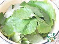 ����� ��� ������ �� ������ �����������