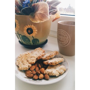 ������ ������-������������ �������