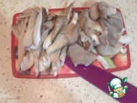 ����� � ��������, ��������� � ���������� �����������