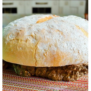 ���������� ����