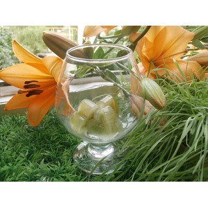 ������ ���