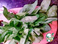 ������� ��������� � ������ "���������" �����������