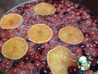 ������������� ������ �����������