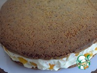 ��������-�������� ���� �����������