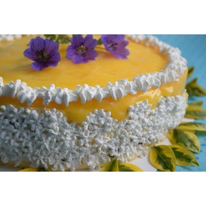 ��������-�������� ����