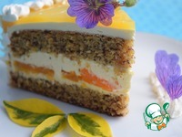 ��������-�������� ���� �����������