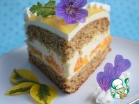 ��������-�������� ���� �����������