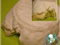 ��� "��������" �� ������� ������ �����������