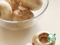 ����������-����� � �������� �������� �����������