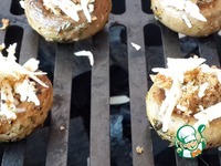 ����������-����� � �������� �������� �����������