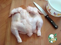 ������, ������������ � ������ �����������