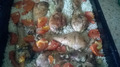 Курица, запеченная с рисом и овощами