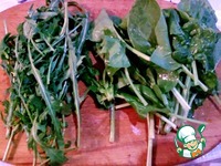 ����� "�������" �����������