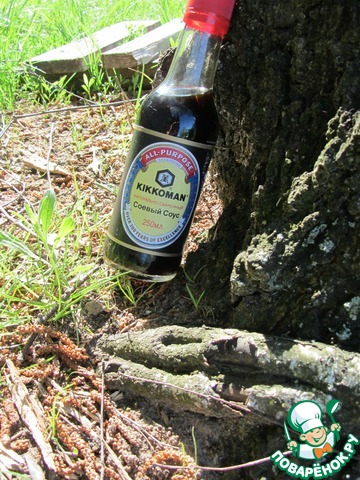 � ��������....