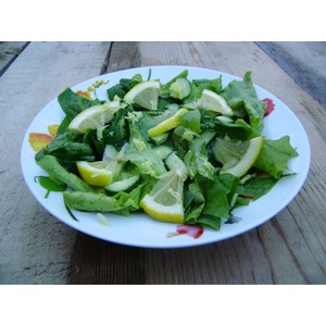 ����� "�������"