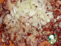 ������� � ��������-���������� ����� �����������