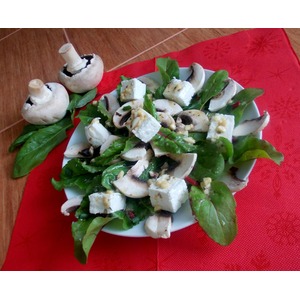 ����� � ������ ������������ � ��������