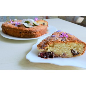 ����� "�������� ����"