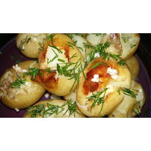 ��������� ������� ��������� � �����������