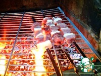 ������ �����������