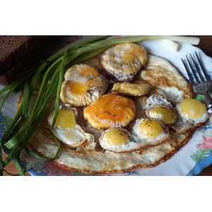 ������� ����������