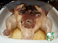 ������ ���������� ���� � ������������ ������ �����������