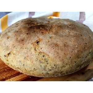 �������� ����