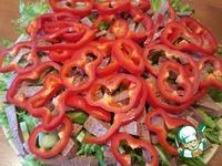 ����� "���������" �� ������� ������ ������ �����������