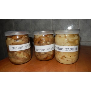 ������� ������ ������� ��������