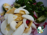 ����� "�������� ����" �����������