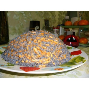 ���� "����������" ��� ������� �� ��������