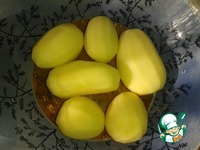 ������ "�����������" �����������