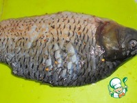 ���� � ����� � ����������� �����������