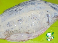 ���� � ����� � ����������� �����������