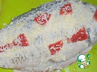 ���� � ����� � ����������� �����������