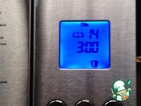 ������ ���� � �������� �����������