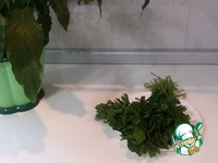 �������� ������ �������� �����������