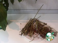 �������� ������ �������� �����������