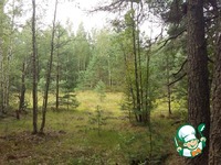 �������� �������� � �������� "���� �������" �����������