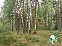 �������� �������� � �������� "���� �������" �����������