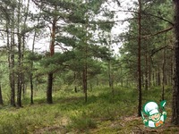 �������� �������� � �������� "���� �������" �����������