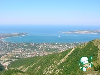 ���������� ��������� �� ������� ������ "�������������" �����������