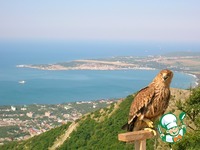 ���������� ��������� �� ������� ������ "�������������" �����������