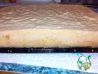 ���� � �������� �����������