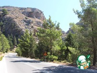 ������� �������� "��������� ������" �����������